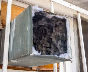 Duct cleaning in Lacey could be important if ductwork looks as this open duct looks which is covered in dust, mold, and mildew