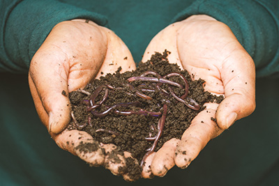 Finesse GVH Granular Vermi Compost Fixes What’s Wrong with Your Lawn