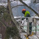 Tree removal in Smithville professional in a bucket truck removing branches from a tree in winter